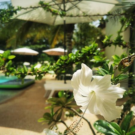 La Maison Vanille Ngaparou Dış mekan fotoğraf